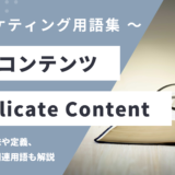 重複コンテンツ - Duplicate Contentの用語の意味や定義・使い方・関連用語を解説